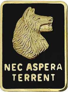 Photo of wolfhounds crest